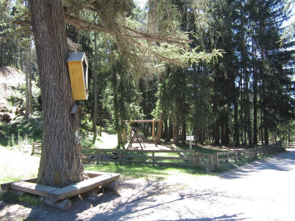 דירות Imsterberg Haus Susi מראה חיצוני תמונה
